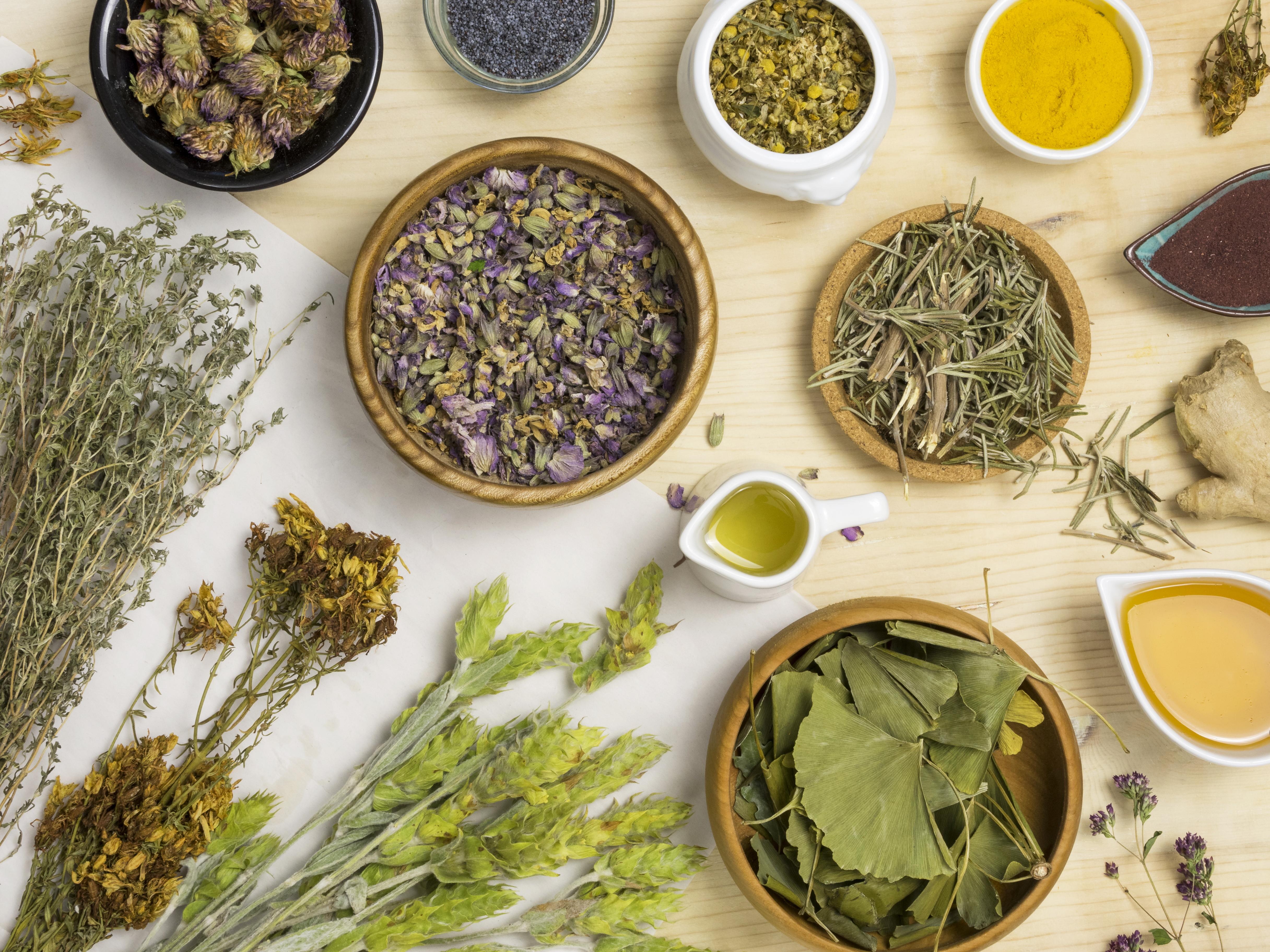 Ayurvedic Dental Care: 10 Herbs for Stronger Teeth and Gums